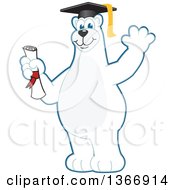 Polar Bear School Mascot Character Graduate Holding A Diploma And Waving