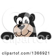 Clipart Of A Black Bear School Mascot Character Looking Over A Sign Royalty Free Vector Illustration