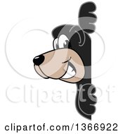 Clipart Of A Black Bear School Mascot Character Looking Around A Sign Royalty Free Vector Illustration