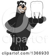Black Bear School Mascot Character Holding A Tooth