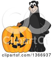 Black Bear School Mascot Character With A Halloween Jackolantern Pumpkin