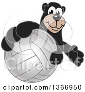 Poster, Art Print Of Black Bear School Mascot Character Grabbing A Volleyball