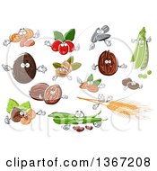 Poster, Art Print Of Peanuts Coconuts Coffee Berries Sunflower Seeds Peas Coffee Beans Walnuts Hazelnuts Wheat And Beans