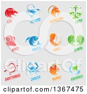 Poster, Art Print Of White Outlined Sticker Styled Zodiac Designs With Text On Gray