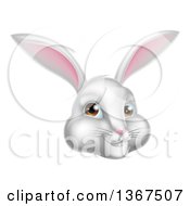 Poster, Art Print Of Happy White Easter Bunny Rabbit Face