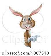 Poster, Art Print Of Happy Brown Easter Bunny Rabbit Pointing Around A Sign