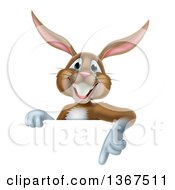 Poster, Art Print Of Happy Brown Easter Bunny Rabbit Pointing Down At A Sign