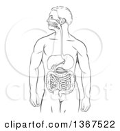 Clipart Of A Black And White Diagram Of A Mans Body With A Visible Digestive System Tract Alimentary Canal Royalty Free Vector Illustration