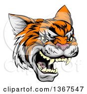 Poster, Art Print Of Vicious Tiger Mascot Face