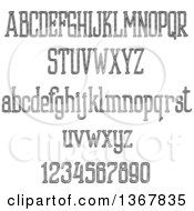Poster, Art Print Of Black And White Sketched Lowercase And Upper Case Alphabet Letters And Numbers