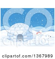Poster, Art Print Of Cute Baby Polar Bear Cub Riding On The Back Of An Adult By An Igloo In The Snow