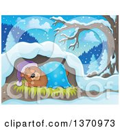 Poster, Art Print Of Cartoon Cute Brown Bear Sleeping With A Blanket And Night Cap In A Cave