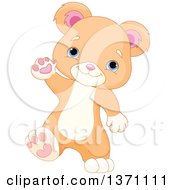 Poster, Art Print Of Cute Baby Bear Cub Walking Upright And Waving