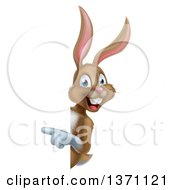 Poster, Art Print Of Happy Brown Bunny Rabbit Pointing Around A Sign