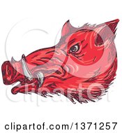 Clipart Of A Sketched Red Wild Boar Head Royalty Free Vector Illustration