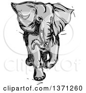 Poster, Art Print Of Grayscale Sketched Angry Elephant Running
