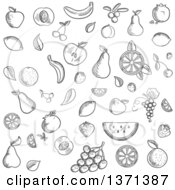 Clipart Of A Black And White Sketched Fruits Royalty Free Vector Illustration
