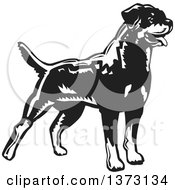 Poster, Art Print Of Woodcut Standing Alert Rottweiler Dog In Black And White