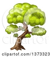 Poster, Art Print Of Mature Tree