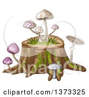 Poster, Art Print Of Different Mushrooms On A Tree Stump