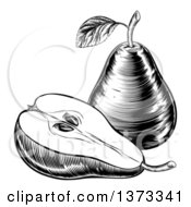 Clipart Of A Black And White Vintage Woodcut Or Engraved Pear And Half Royalty Free Vector Illustration by AtStockIllustration
