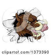 Clipart Of A Fierce Brown Boar Head Breaking Through A Wall Royalty Free Vector Illustration