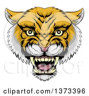 Poster, Art Print Of Fierce Wildcat Mascot Head Roaring