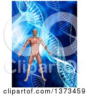 Clipart Of A 3d Medical Anatomical Male With Visible Muscles Over A Blue DNA And Flare Background Royalty Free Illustration