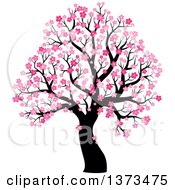 Silhouetted Tree With Pink Spring Blossoms
