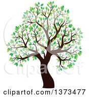 Poster, Art Print Of Silhouetted Tree With Green Leaves