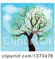 Poster, Art Print Of Silhouetted Tree With Green Leaves Against Blue Sky