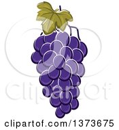 Clipart Of A Cartoon Bunch Of Purple Grapes Royalty Free Vector Illustration