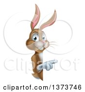 Poster, Art Print Of Happy Brown Bunny Rabbit Pointing Around A Sign