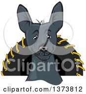 Black Xolo Mexican Hairless Dog