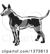 Black And White Woodcut Xolo Mexican Hairless Dog Facing Left