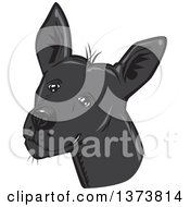 Poster, Art Print Of Black Xolo Mexican Hairless Dog Head