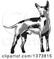 Black And White Woodcut Xolo Mexican Hairless Dog