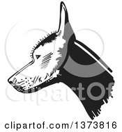 Poster, Art Print Of Black And White Xolo Mexican Hairless Dog Head In Profile