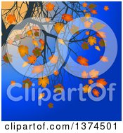 Poster, Art Print Of Branches Of A Tree With Orange Autumn Leaves Against A Blue Sky And Sunset