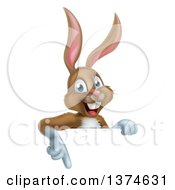 Poster, Art Print Of Happy Brown Rabbit Pointing Down Over A Sign