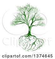 Poster, Art Print Of Green Bare Tree With Brain Roots