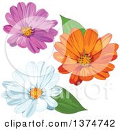 Poster, Art Print Of Pink Orange And White Daisy Flowers