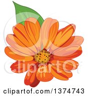 Clipart Of An Orange Daisy Flower Royalty Free Vector Illustration
