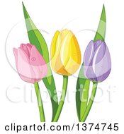Clipart Of Pink Yellow And Purple Tulip Flowers Royalty Free Vector Illustration