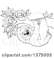 Poster, Art Print Of Black And White Happy Sloth Hanging From A Branch