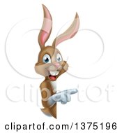 Poster, Art Print Of Happy Brown Bunny Rabbit Pointing Around A Sign