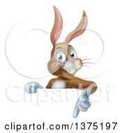 Poster, Art Print Of Happy Brown Bunny Rabbit Pointing Down Over A Sign