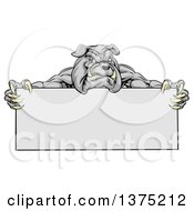 Clipart Of A Gray Aggressive Bulldog Monster Mascot Holding A Blank Sign Royalty Free Vector Illustration