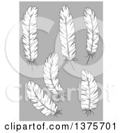 Poster, Art Print Of Black And White Feathers On Gray