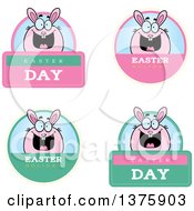 Clipart Of Badges Of A Chubby Pink Easter Bunny Royalty Free Vector Illustration